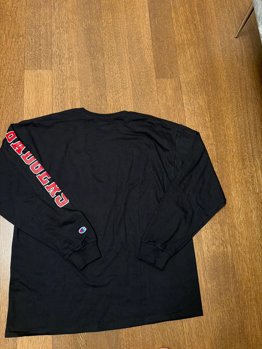Champion Wisconsin Badgers Long Sleeve Shirt - photo 4