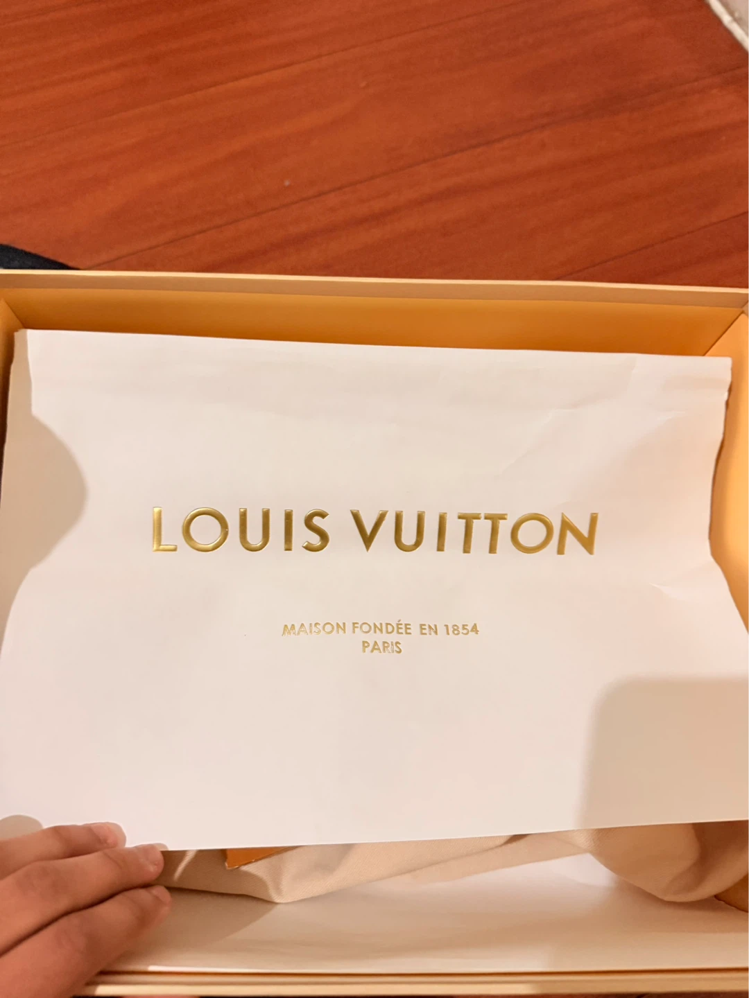 Louis Vuitton Men's Sneakers - photo 4