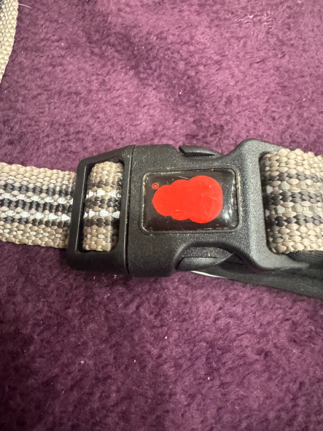 Dog leash .