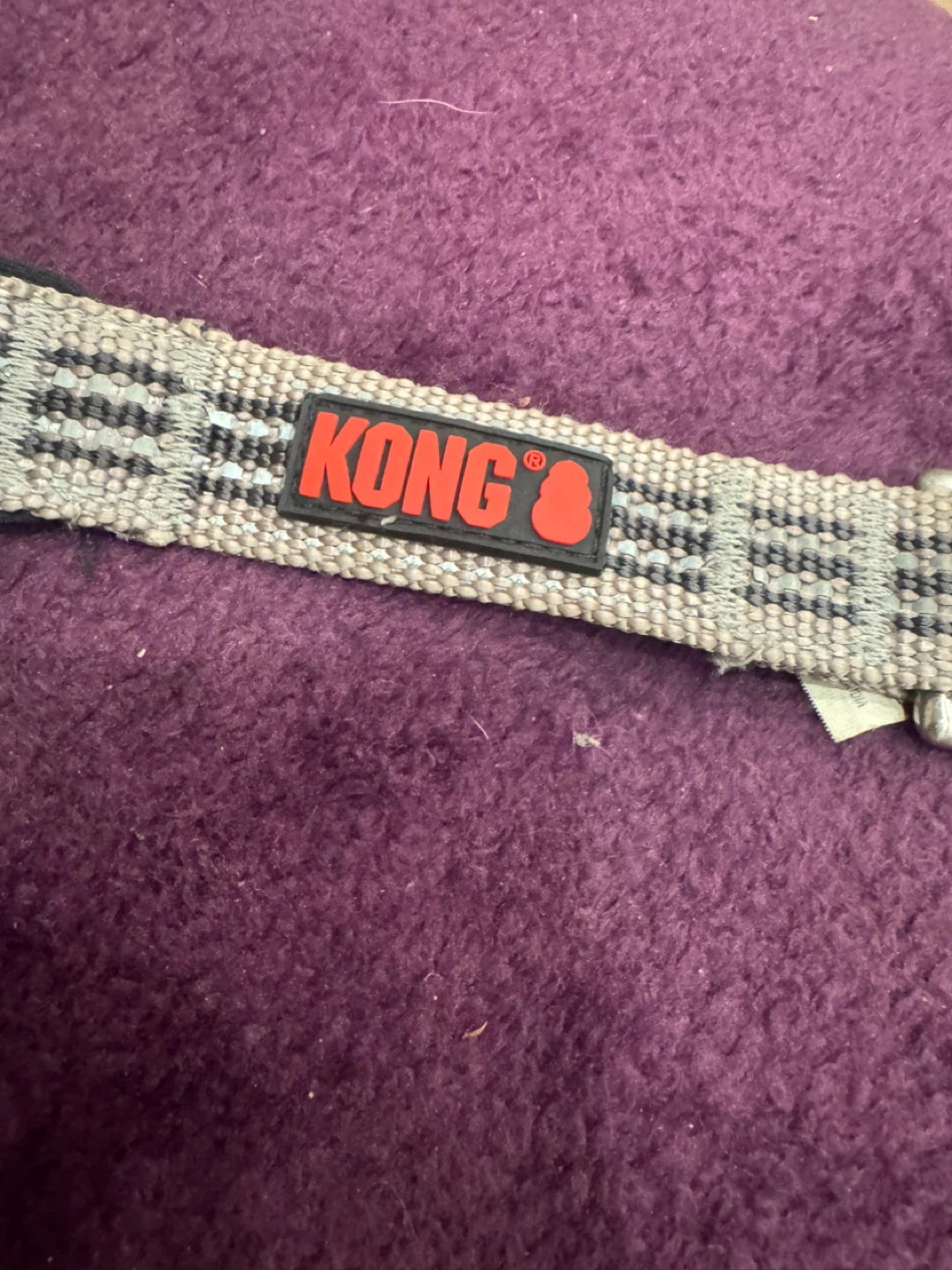 Dog leash . - photo 4