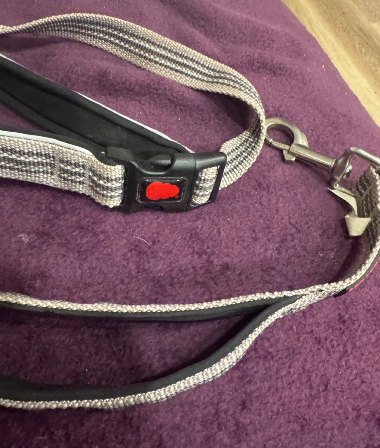 Dog leash . - photo 3