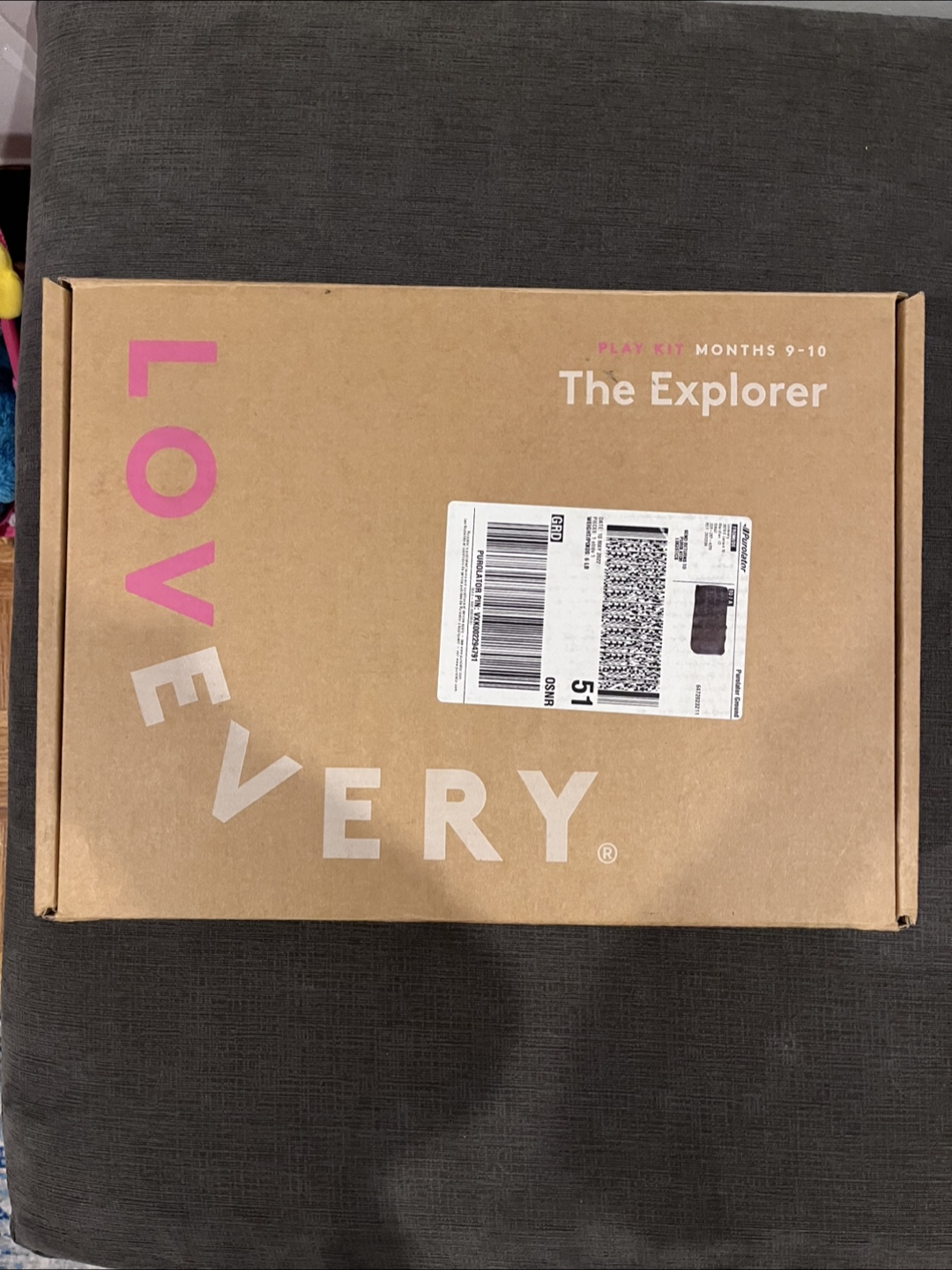 Lovevery The Explorer 9-10 month Playkit