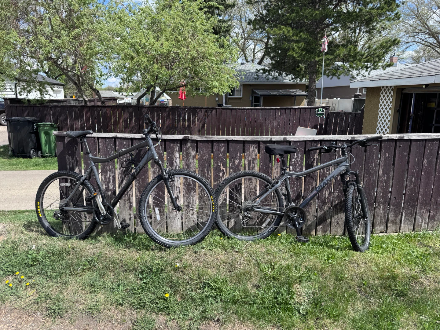 Giant Mountain Bike