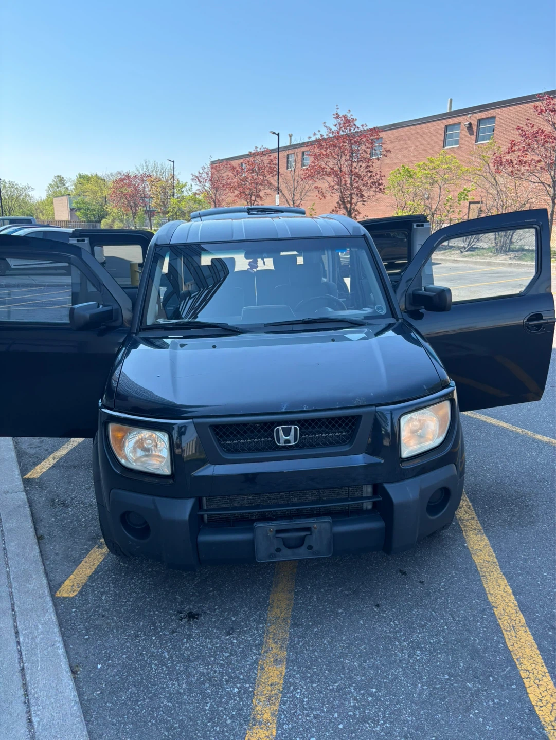 2006 Honda Element W/Y