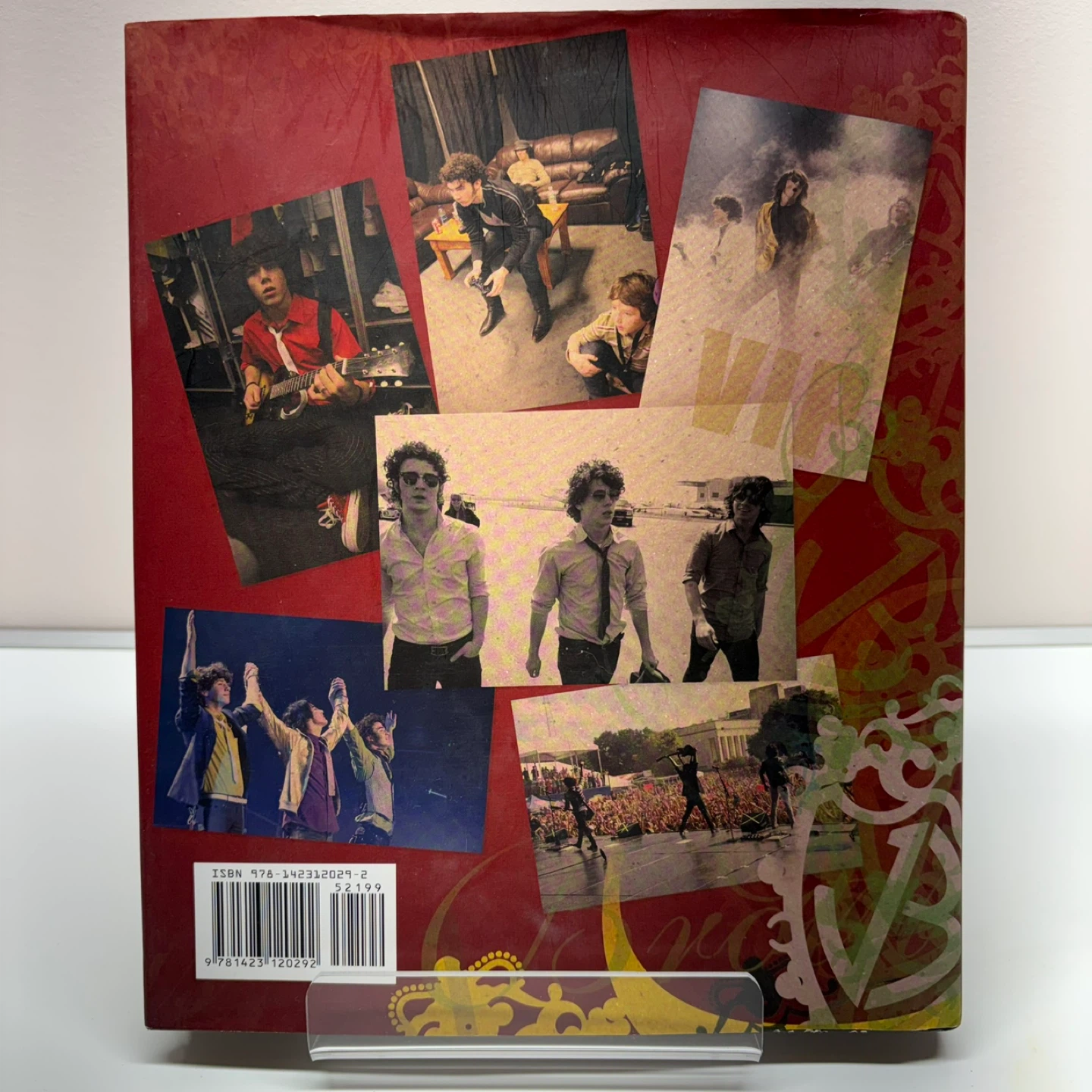 Burning Up: On Tour With The Jonas Brothers Hardcover Book - photo 2