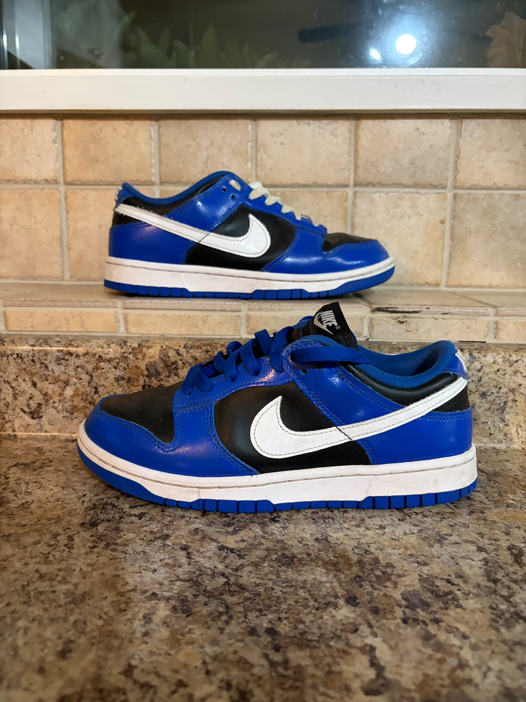 Nike Dunk Low Blue and Black Sneakers