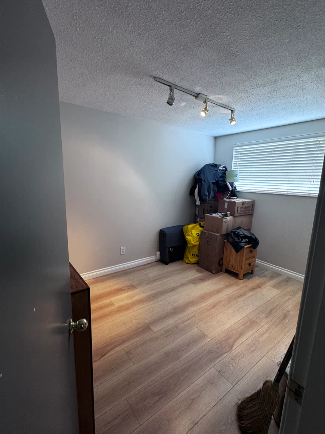 Charming 2 Bed, 1 Bath Home with Modern Kitchen - photo 4