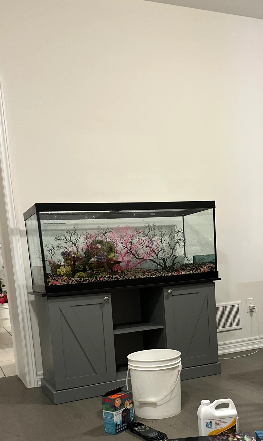 Large Aquarium Full Fish Tank includes everything