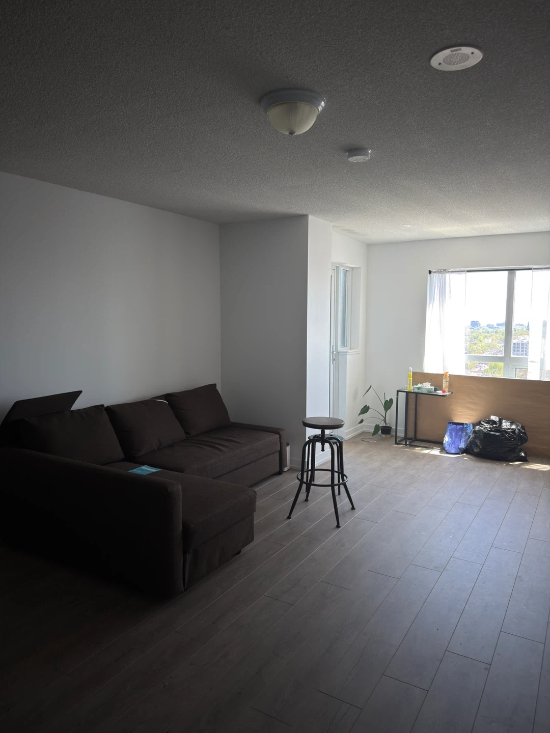 1 bedroom and 1 private bathroom in a 2b/2b apartment - photo 2