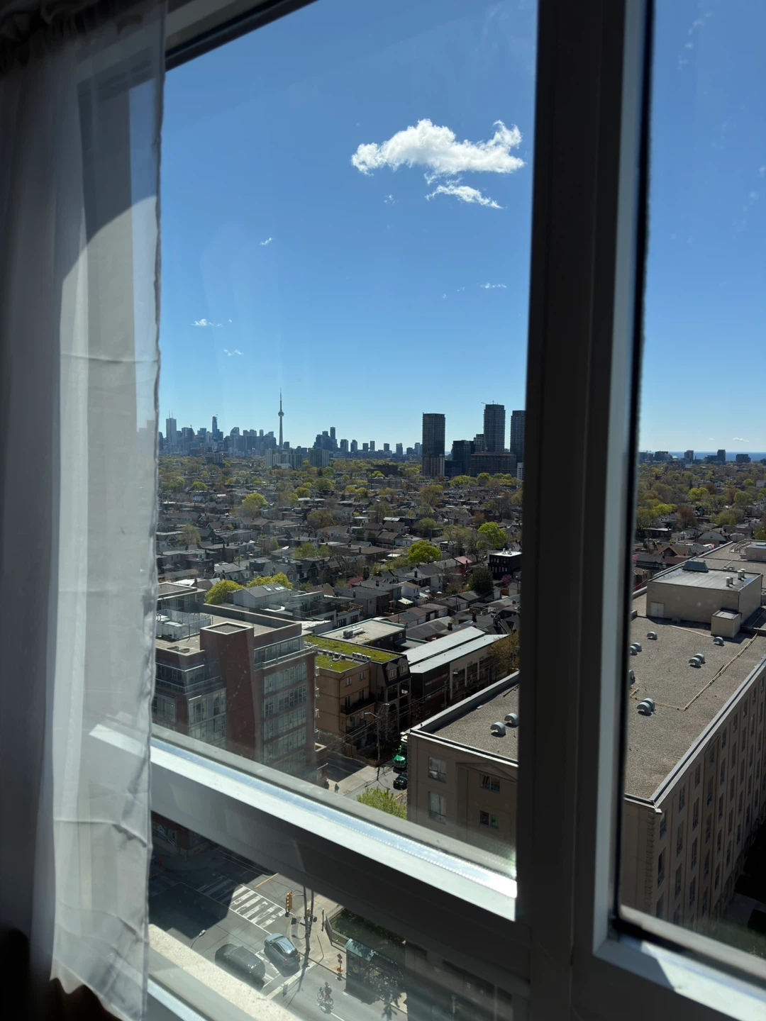 1 bedroom and 1 private bathroom in a 2b/2b apartment - photo 4