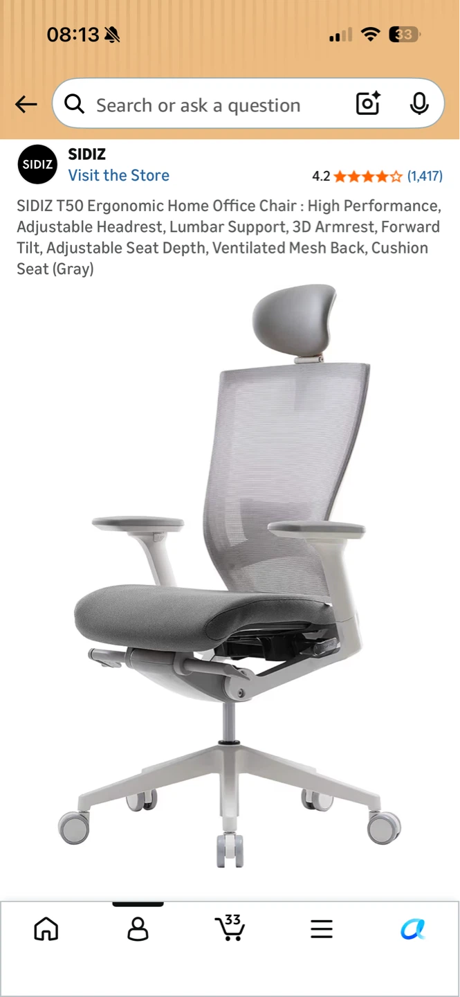 SIDIZ T50 Ergonomic Home Office Chair - Grey