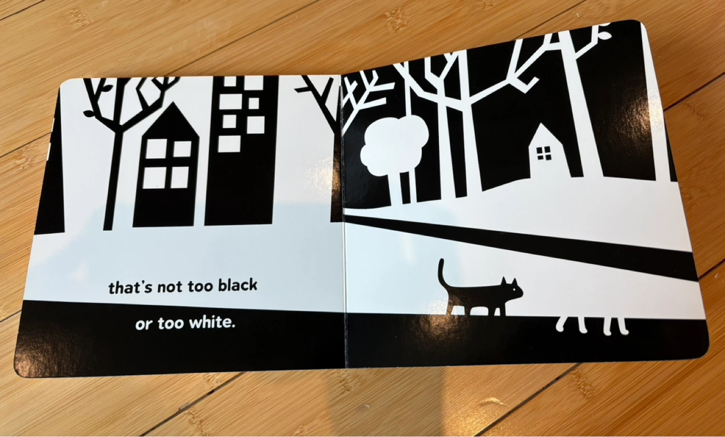 Snow Baby Picture Book for Tots by Danielle Wilson - photo 3