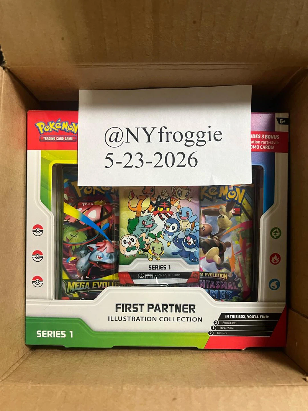 Pokemon TCG First Partner Illustration Collection