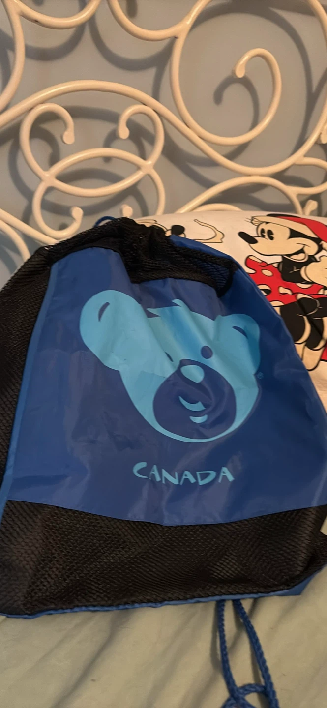 Build a bear work shop bag  it’s free
