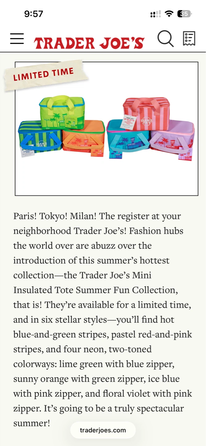 Trader Joe’s Insulated Tote - photo 4