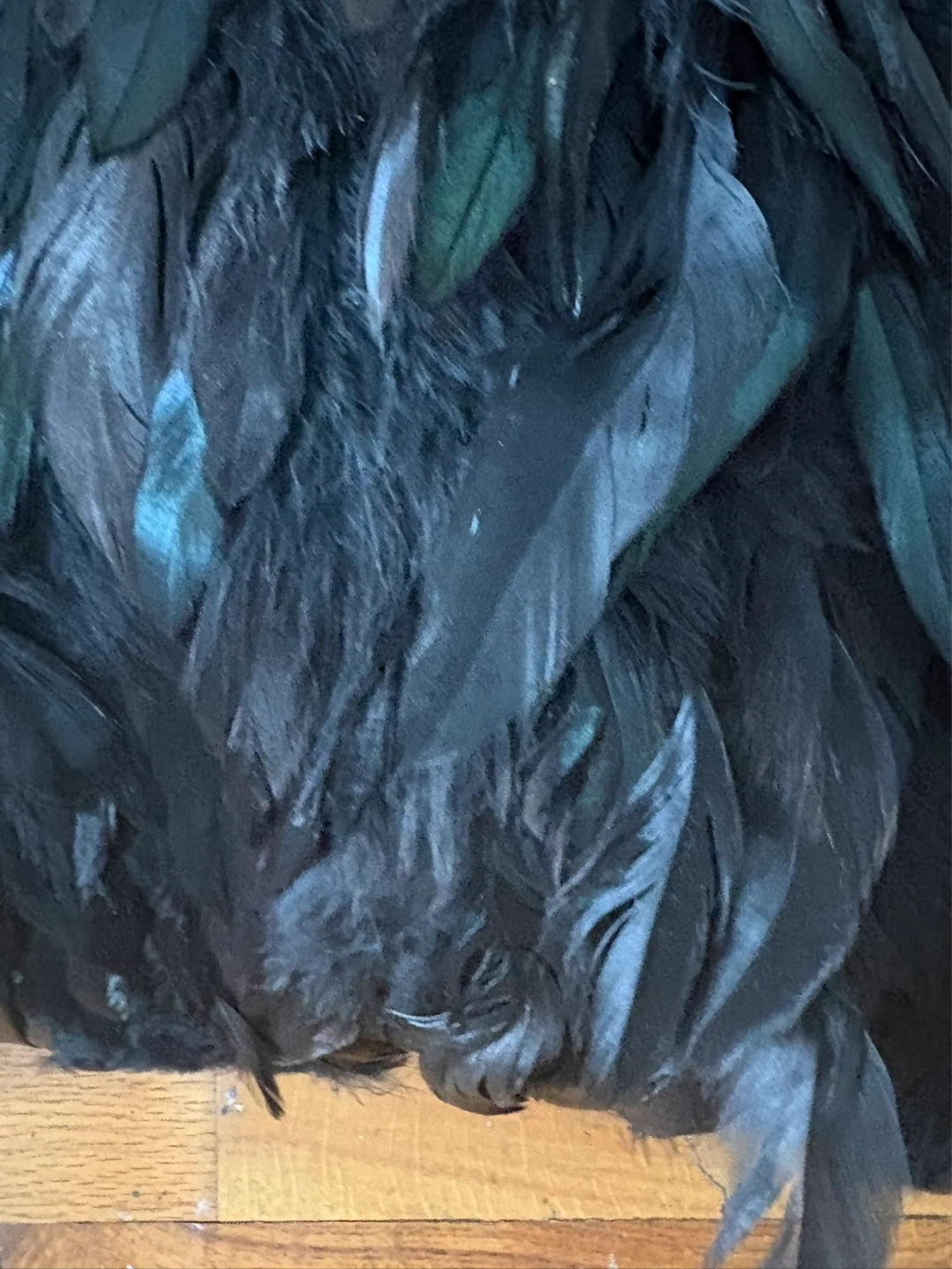 Black Feather Decorative Throw Pillow - photo 2