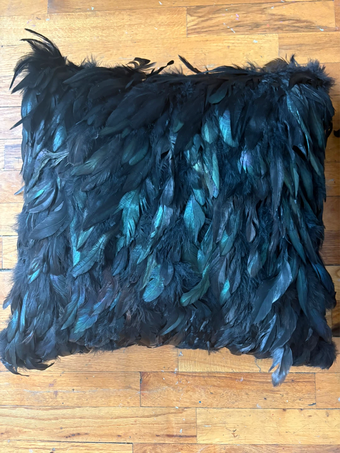 Black Feather Decorative Throw Pillow