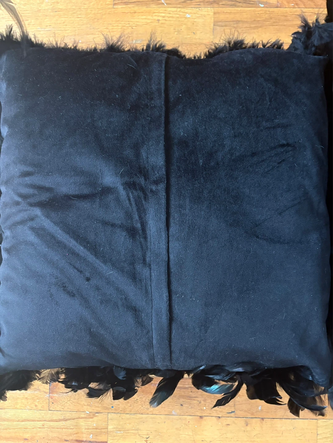 Black Feather Decorative Throw Pillow - photo 4
