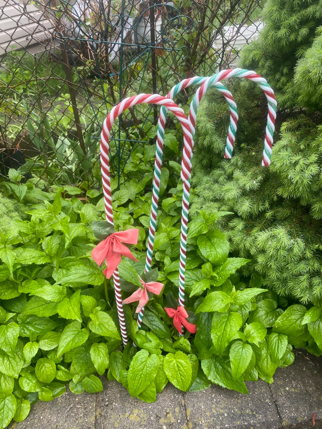 Candy Cane Garden Stakes - Set of 3