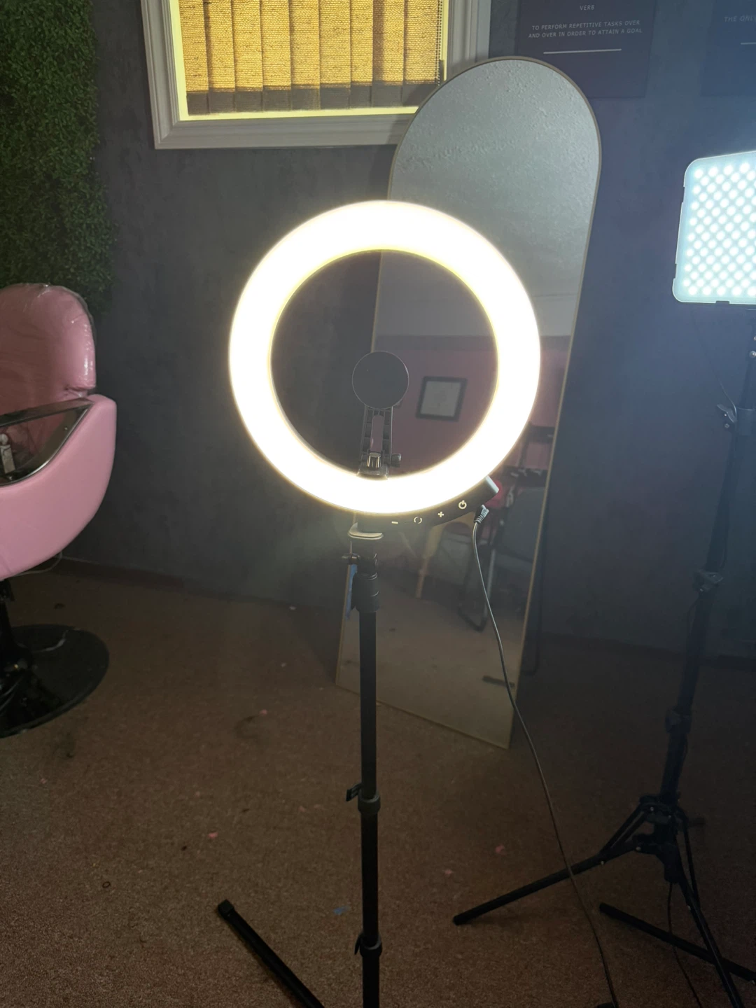 Ring Light and LED Panel Lighting Kit - photo 5