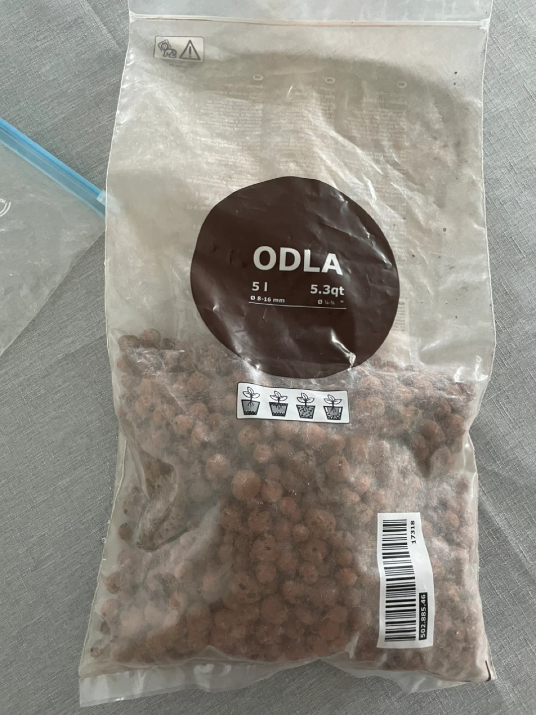 Monstera, oxycardium plant, and Ikea clay pebbles - photo 3