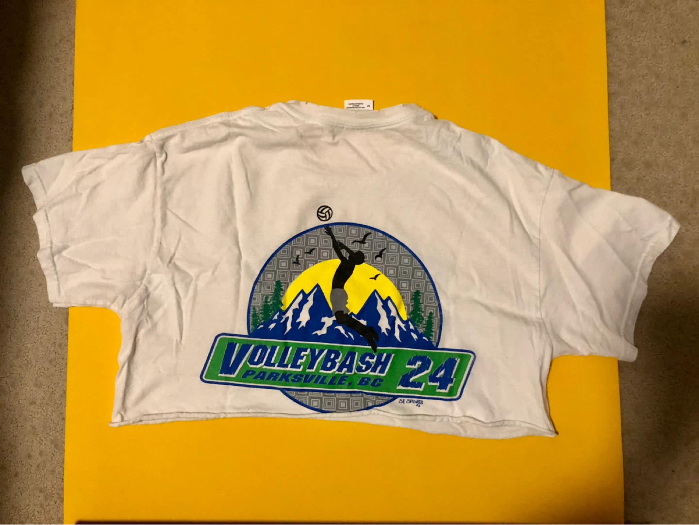 Vintage volleyball shirt, cropped 🏐 - photo 2