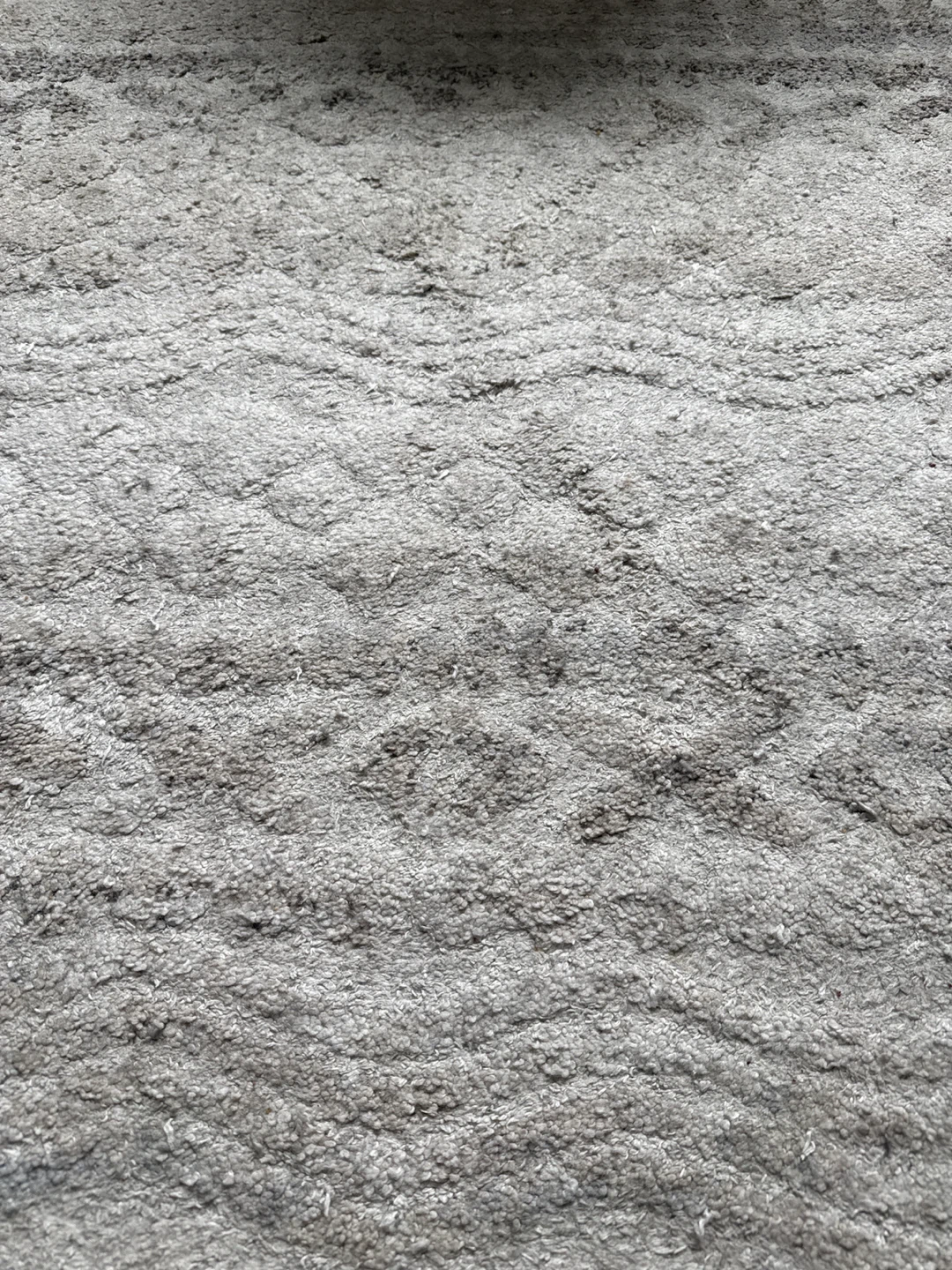 Gray Area Rug - photo 2