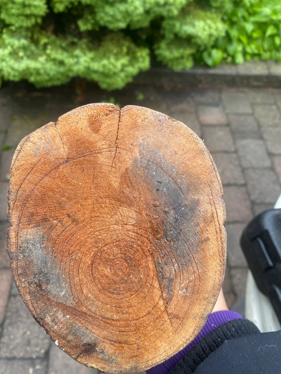 Carved wooden family sculpture - photo 4
