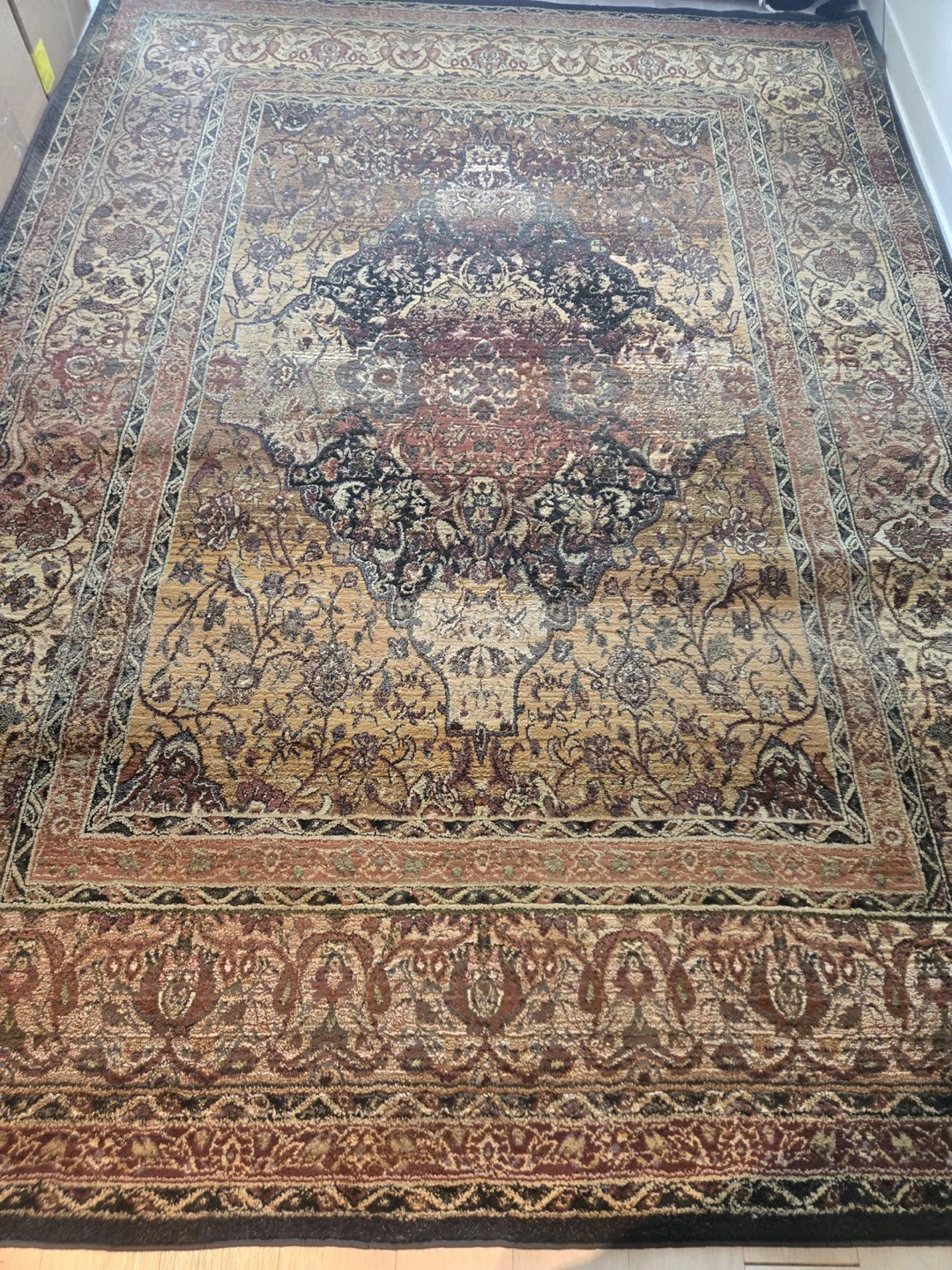 Persian Style Area Rug