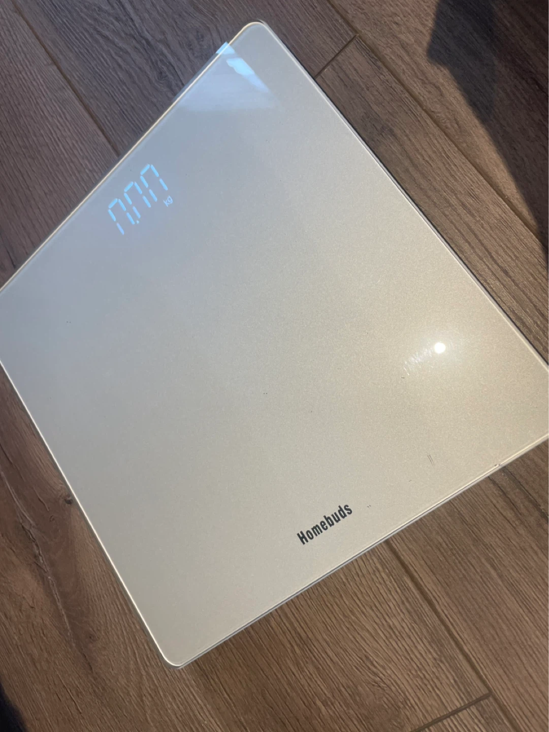 Homebuds Digital Scale