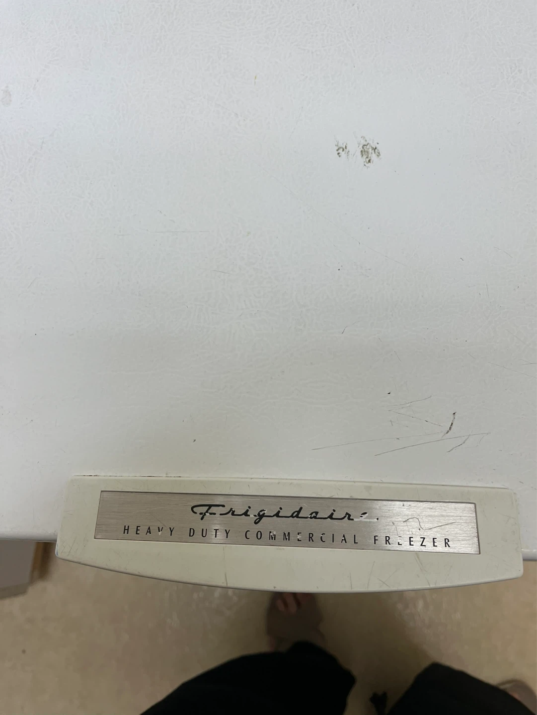 Frigidaire Heavy Duty Commercial Freezer - photo 5