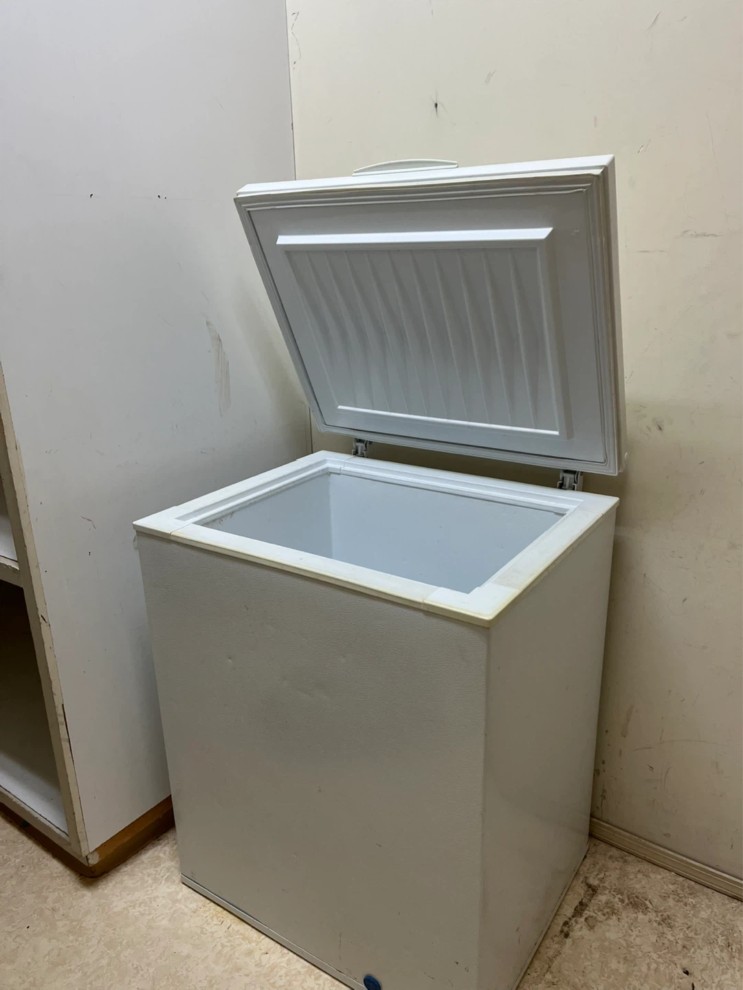 Frigidaire Heavy Duty Commercial Freezer - photo 2