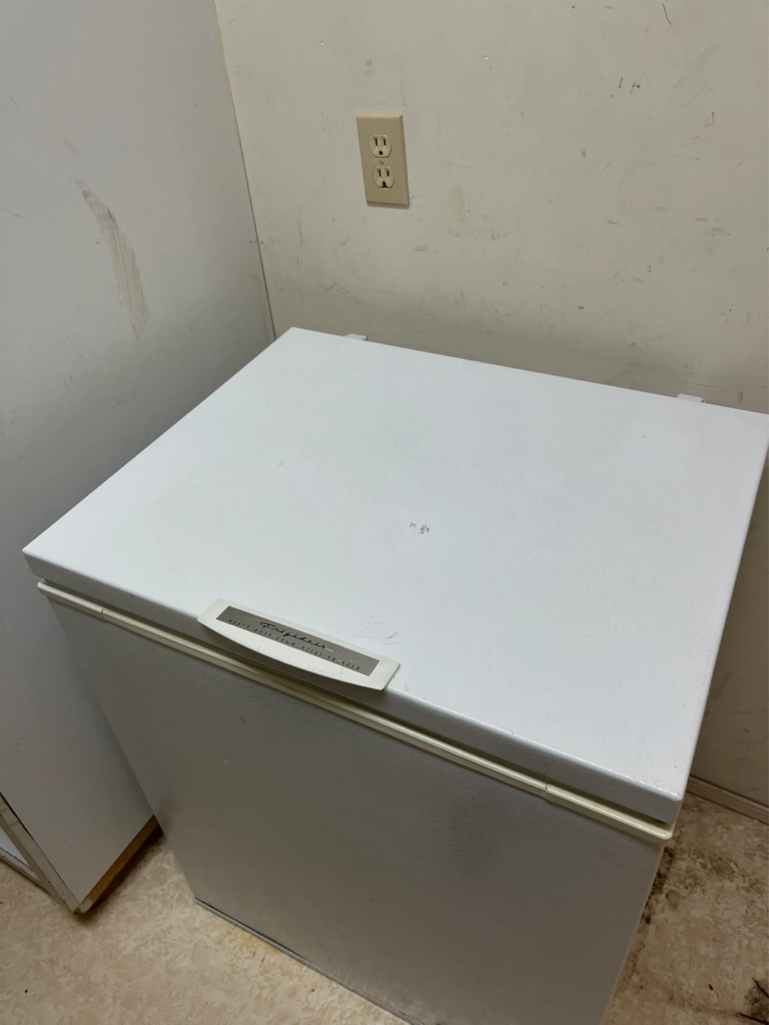 Frigidaire Heavy Duty Commercial Freezer - photo 4