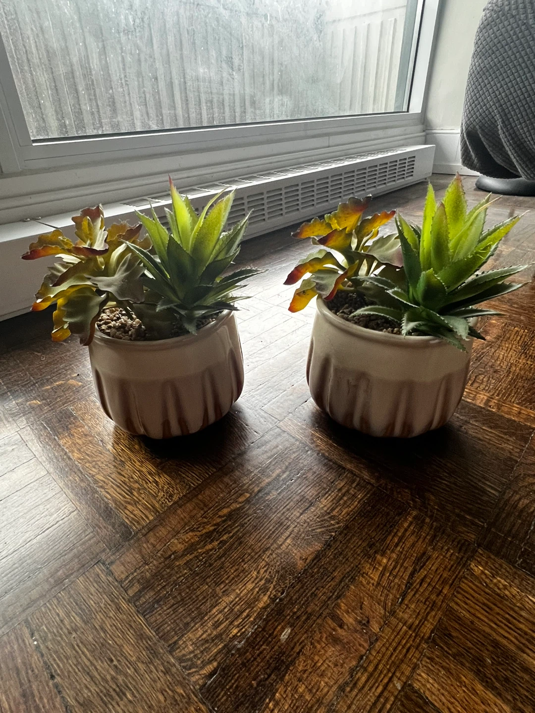 Set of 2 Faux Succulent Plants in Ceramic Pots