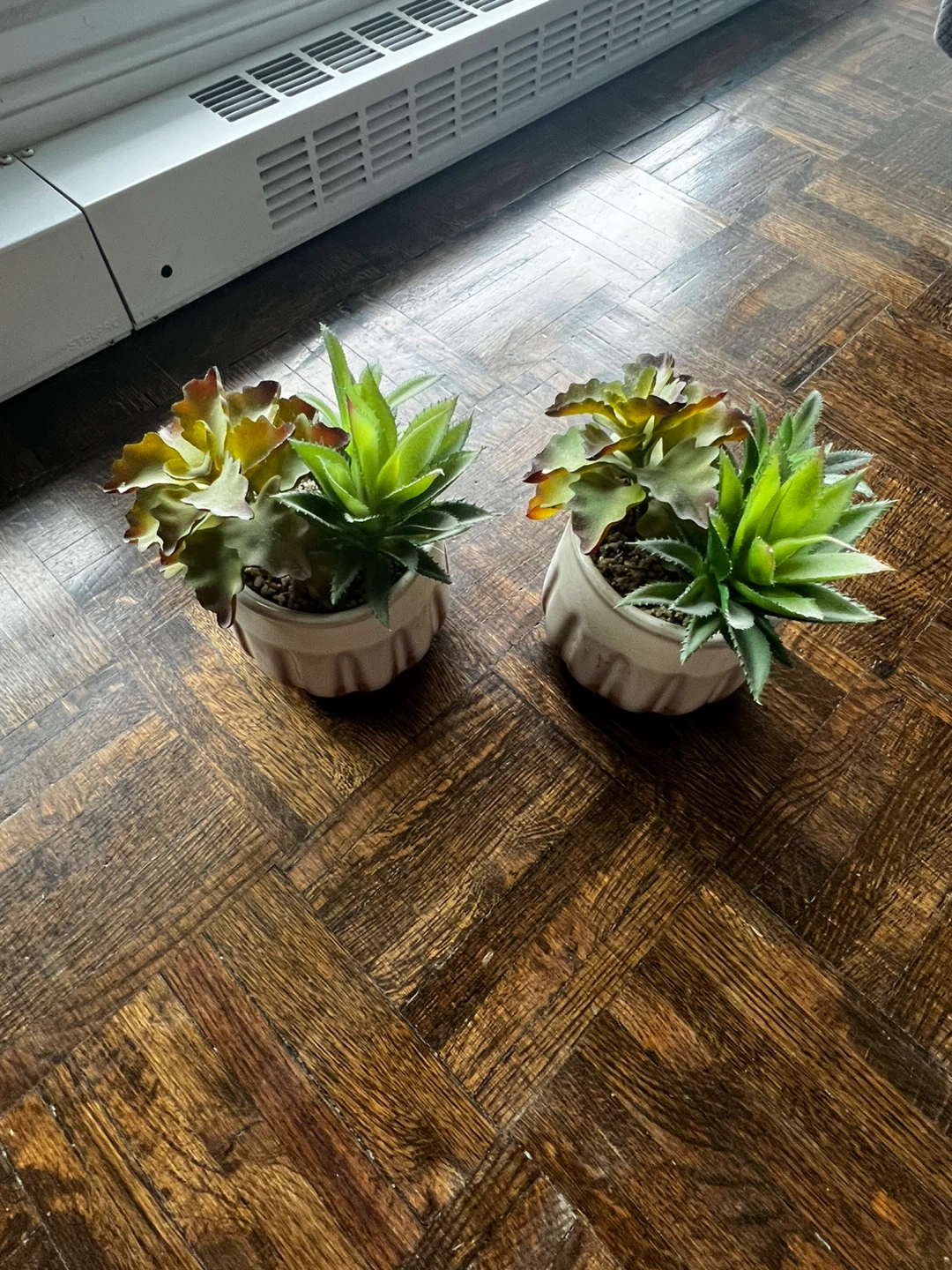 Set of 2 Faux Succulent Plants in Ceramic Pots - photo 2