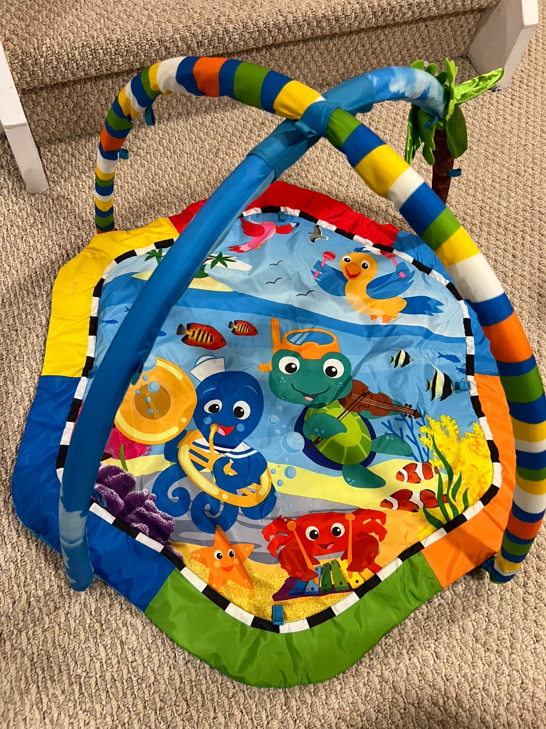 Baby Activity Play Mat