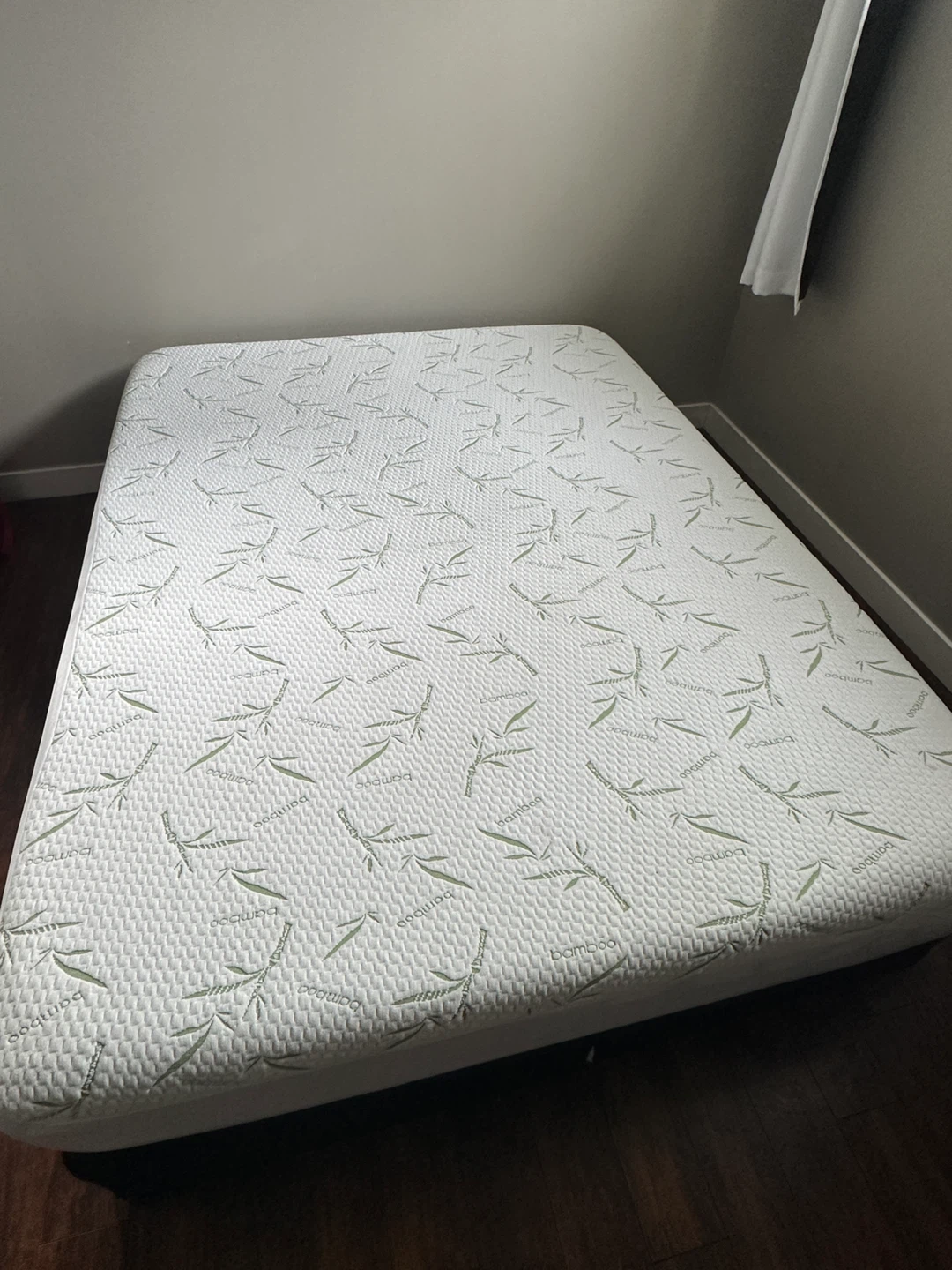 Sealy Posturepedic 15 inch Queen protector & queen box spring