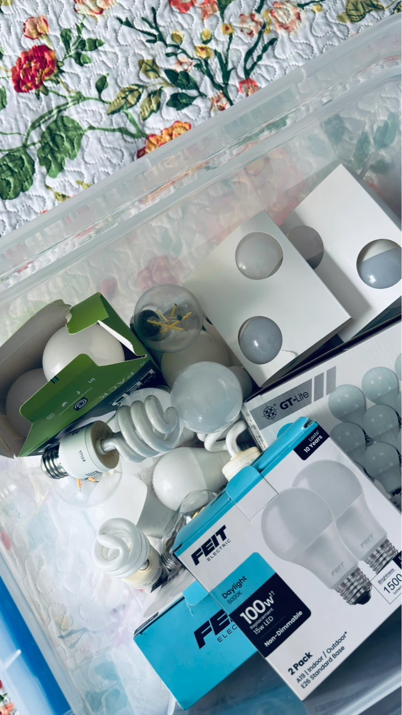 Assorted Light Bulbs - Feit Electric, GT-Lite, and more - photo 2