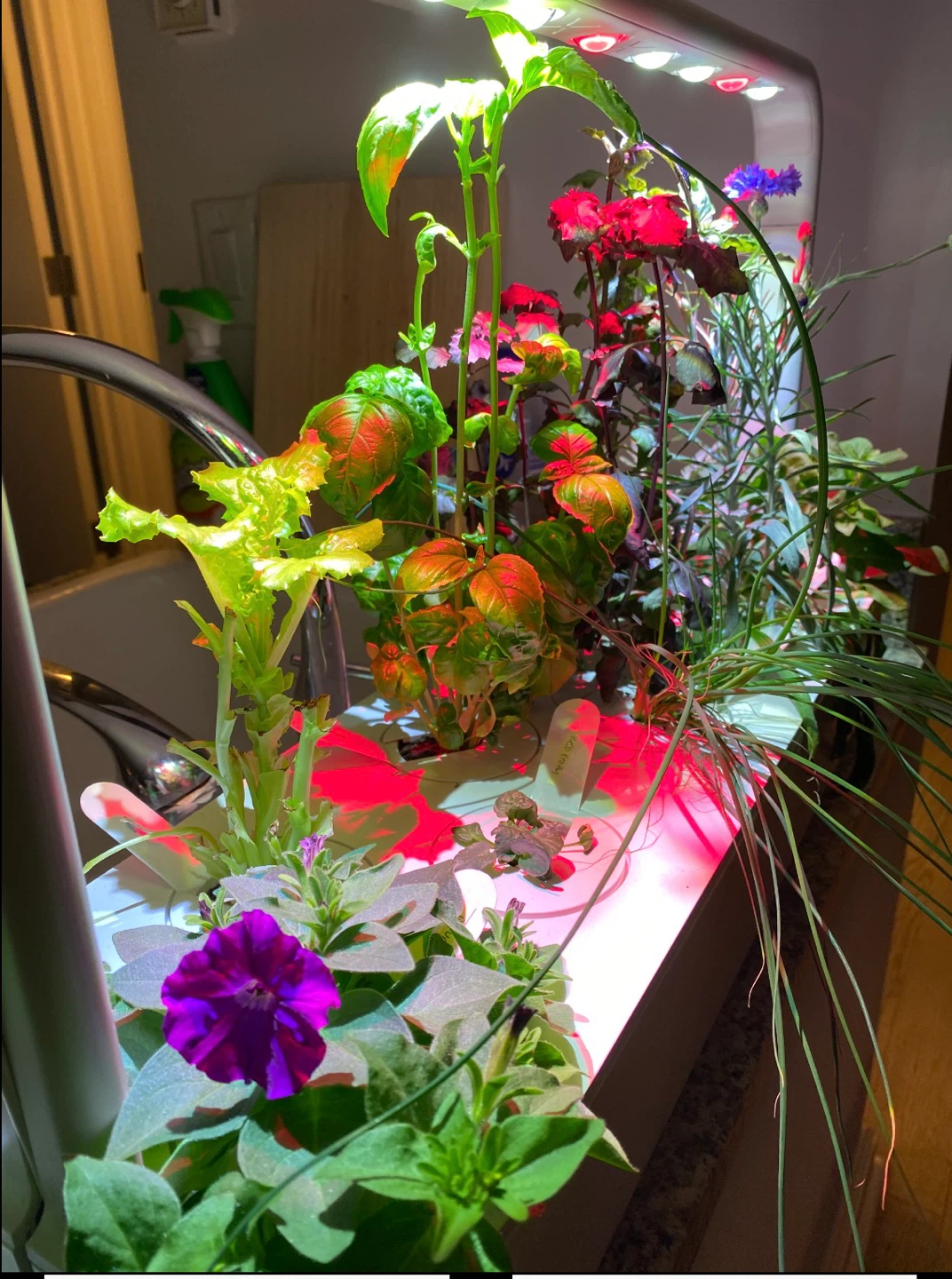 Click & Grow Smart Garden 9 with Seed Pods - photo 2