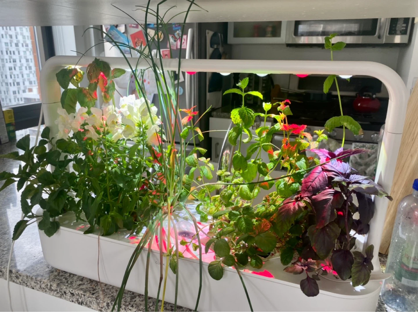 Click & Grow Smart Garden 9 with Seed Pods