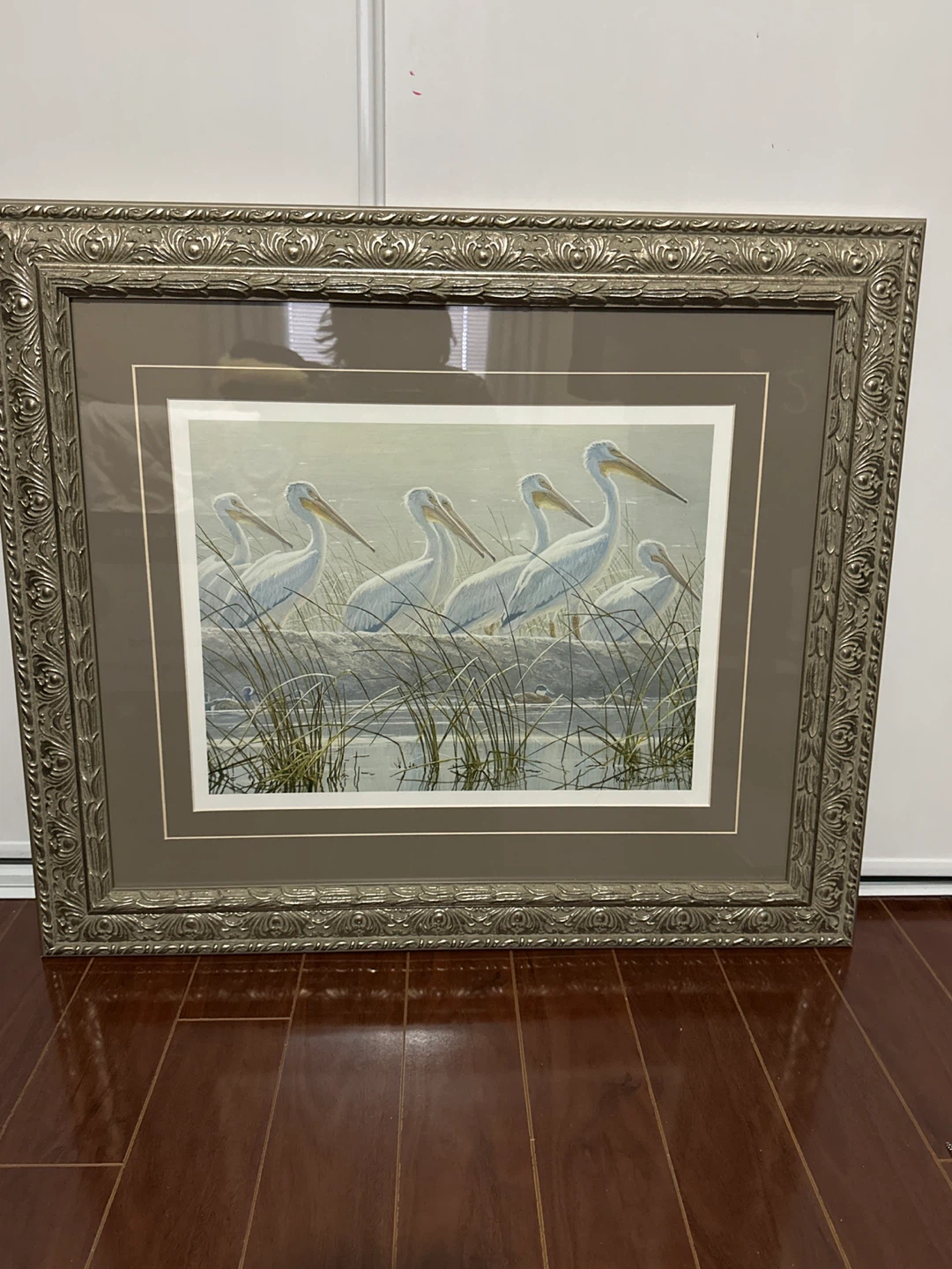 Framed Artwork - Pelicans in Water