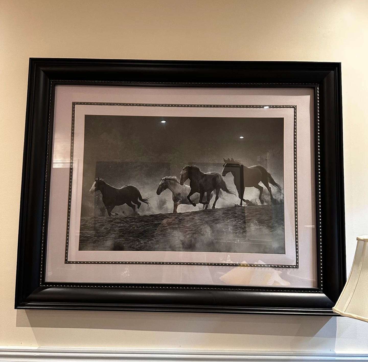 Framed Black and White Horse Print