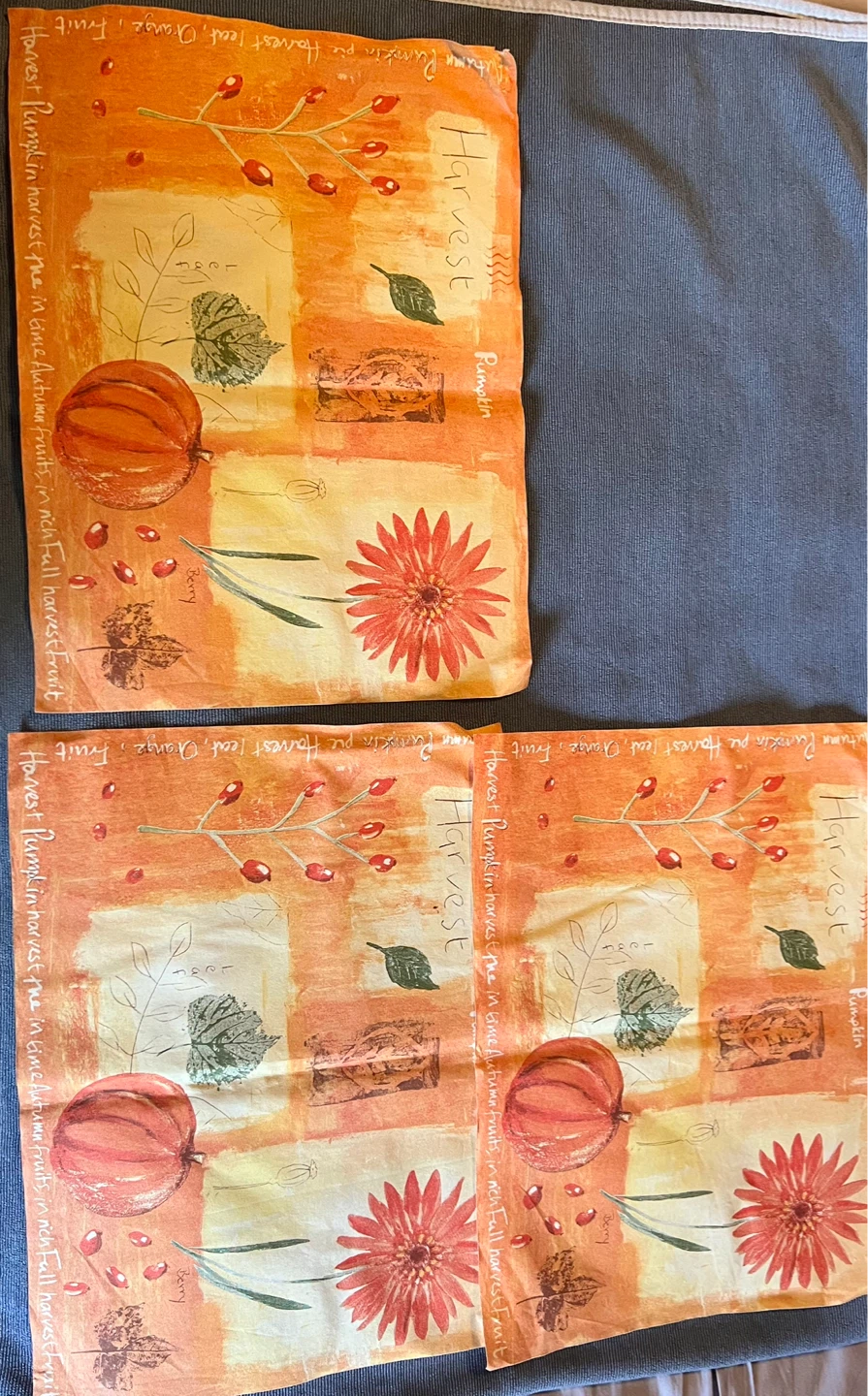 Harvest Theme tablecloth & 3 placemats - photo 4