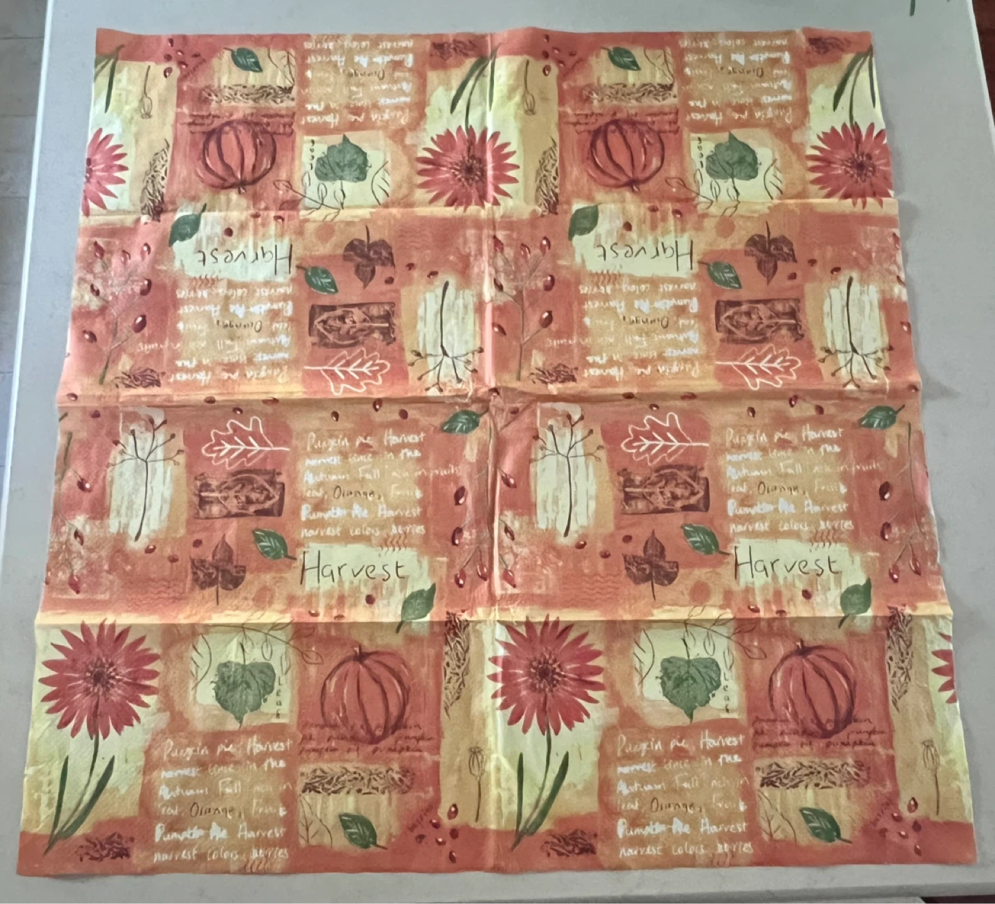 Harvest Theme tablecloth & 3 placemats