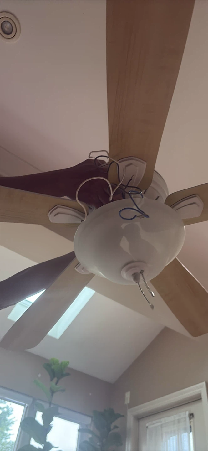 Ceiling Fan with Lights