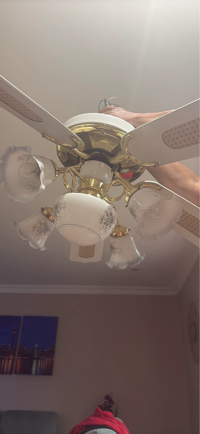Ceiling Fan with Lights - photo 3