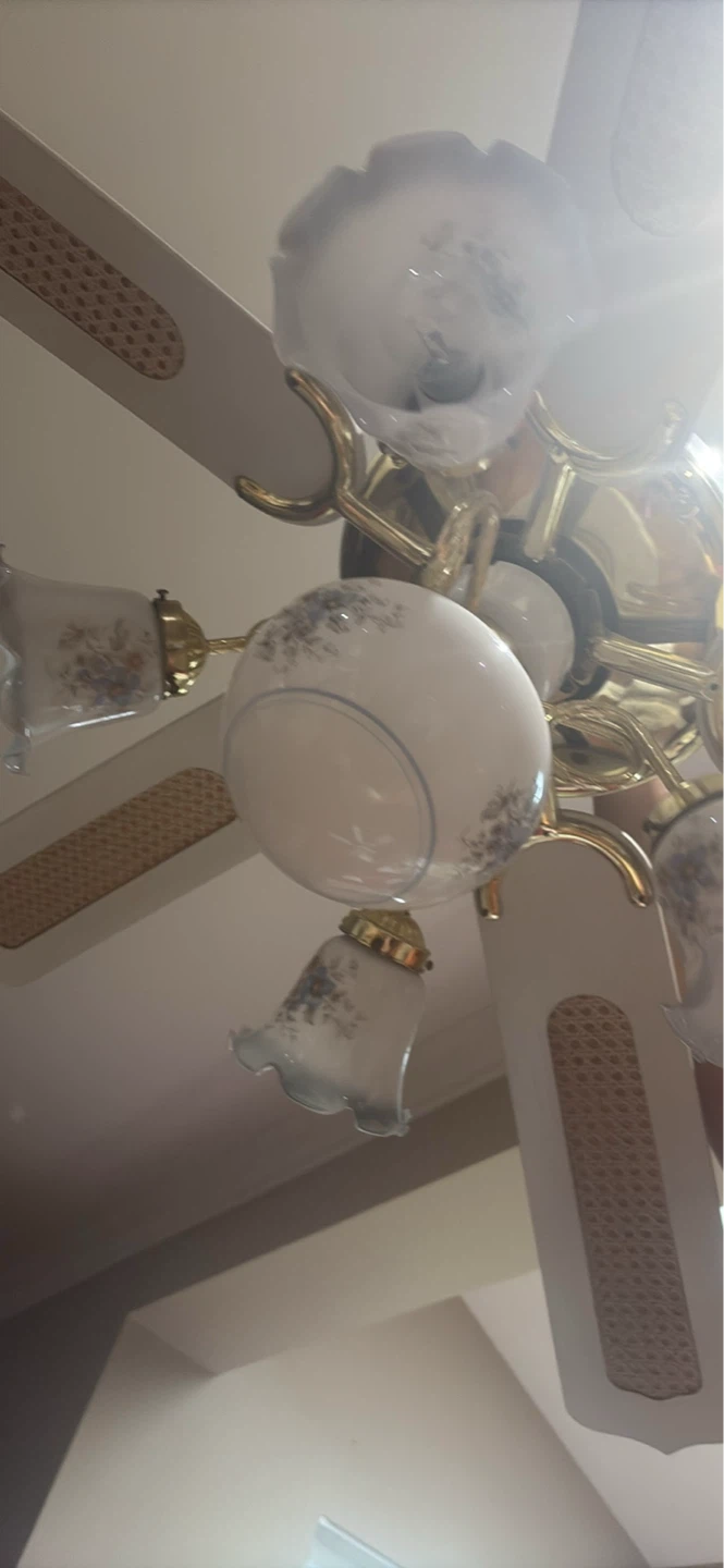 Ceiling Fan with Lights - photo 2