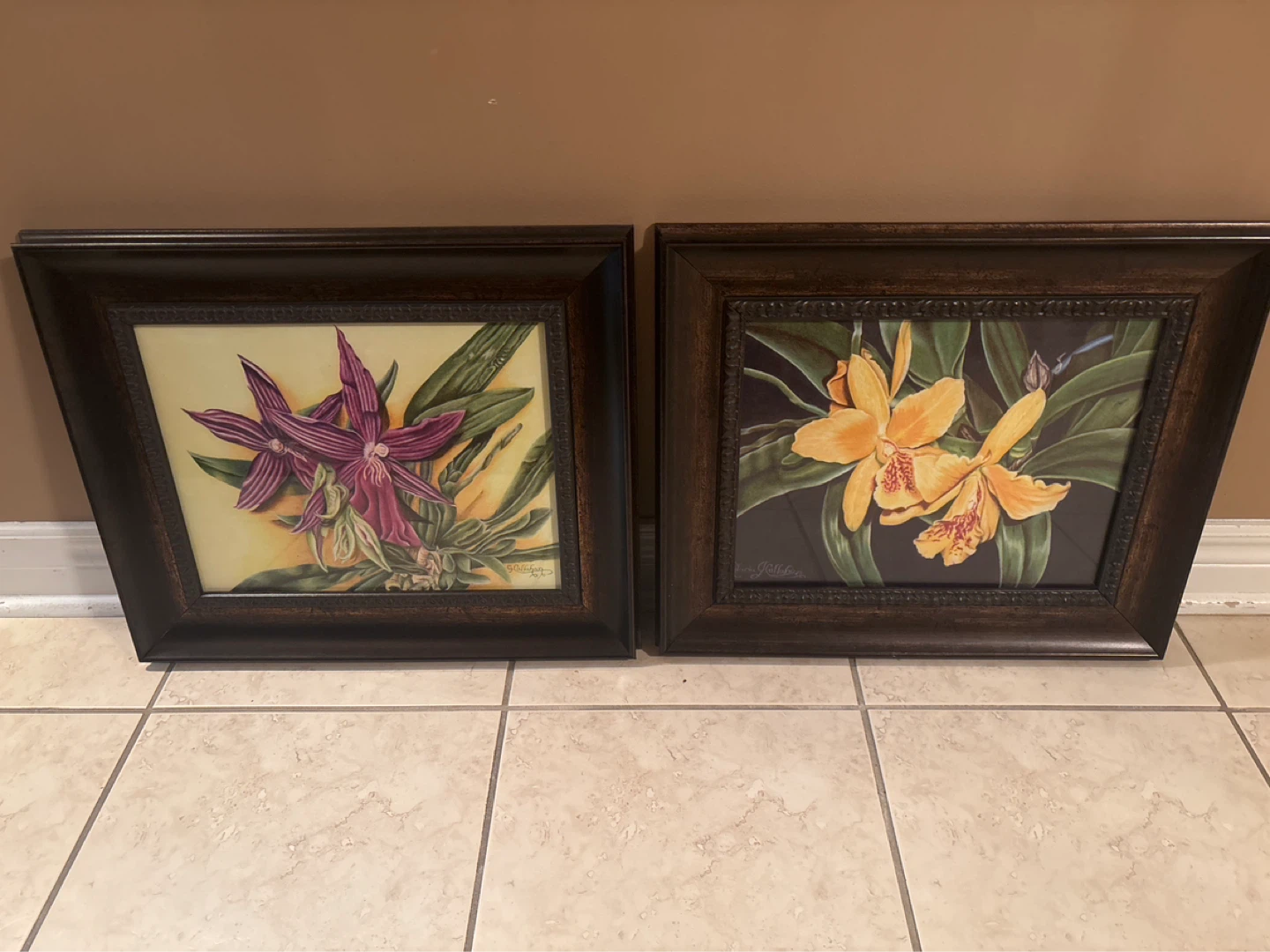 Framed Orchid Art Prints - Set of 2