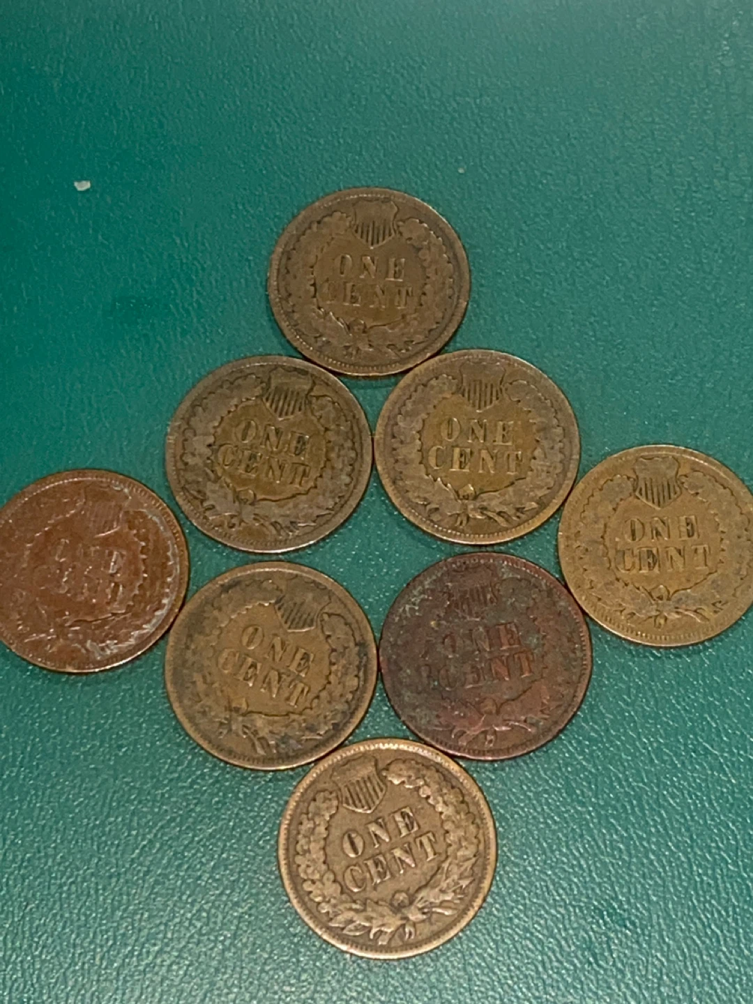 Collection of 8 Indian Head Pennies (1890-1904) - photo 5