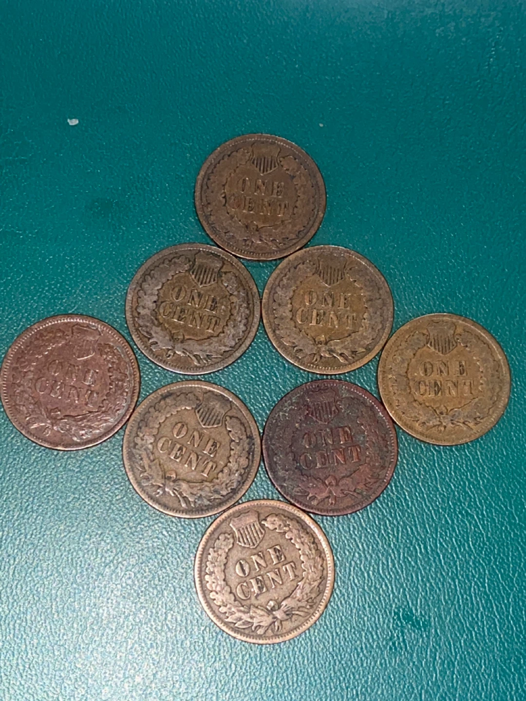 Collection of 8 Indian Head Pennies (1890-1904) - photo 4